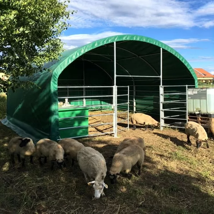 Šotor za živali 8,00 x 8,00 x 4,00 m - slika 2